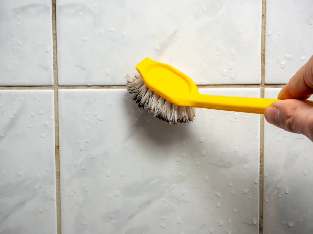 Best Residential Mold Removal  in Montevlo, AL