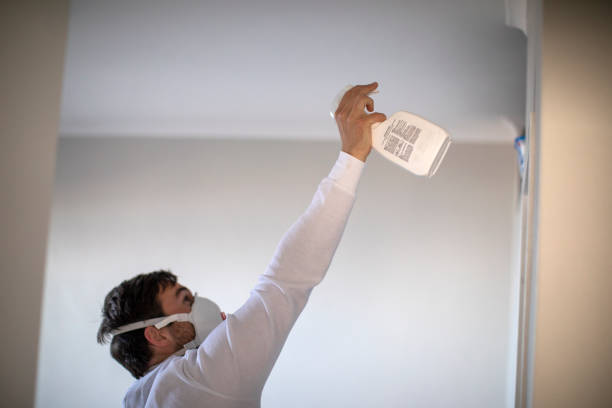 Best Best Mold Removal Companies  in Montevlo, AL