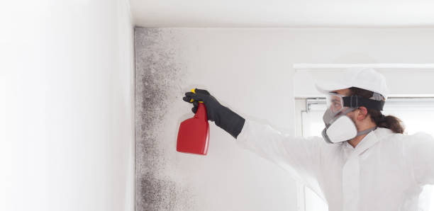 Montevallo, AL Mold Removal Company