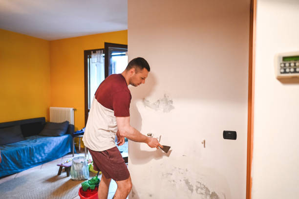 Best Certified Mold Removal  in Montevlo, AL