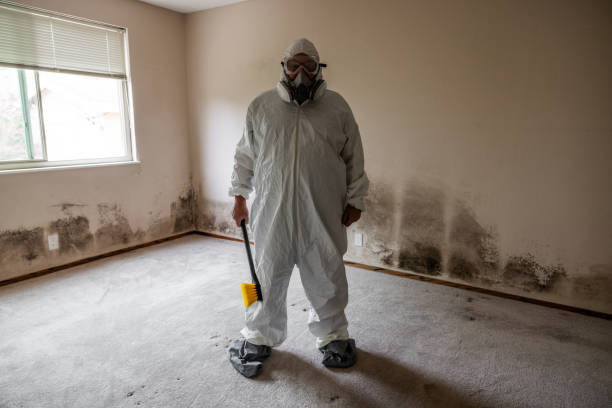 Best Toxic Mold Removal  in Montevlo, AL